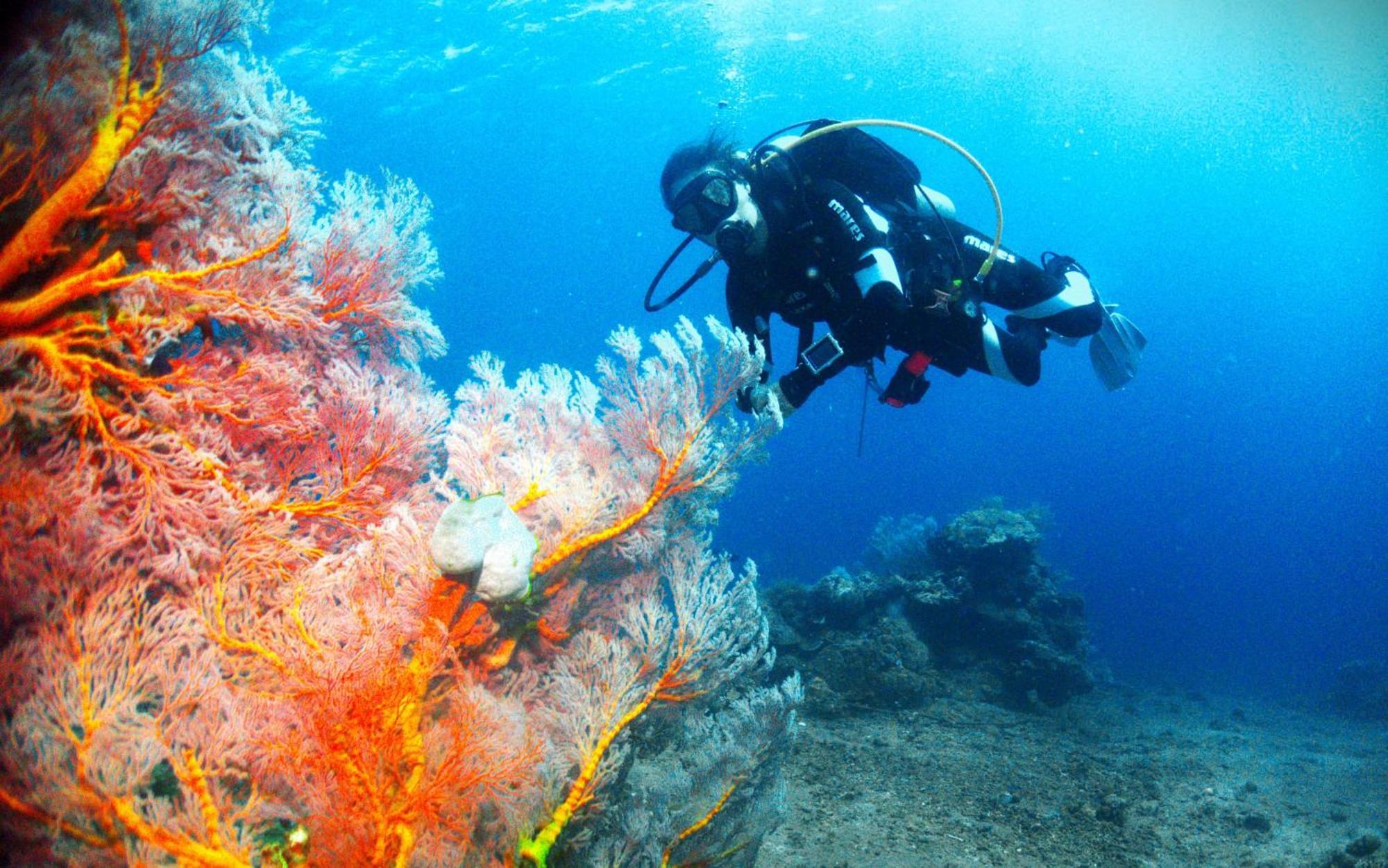 Kura Kura Divers Lodge Amed  Exterior photo